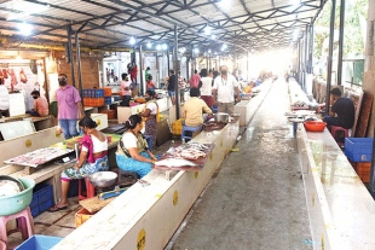 No panic, moderate sales witnessed in latest lockdown