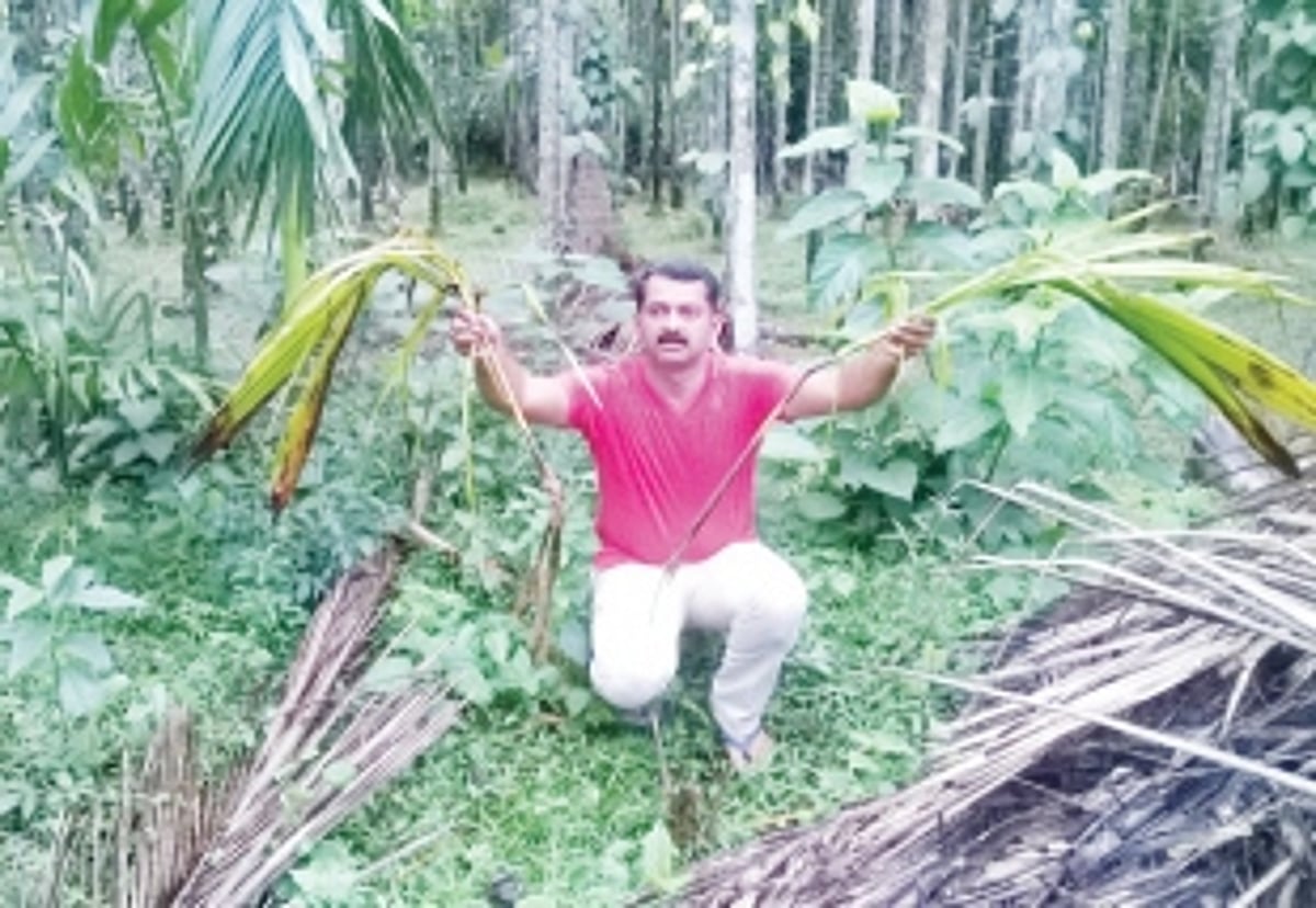 No profit in growing crops, say Bicholim villagers