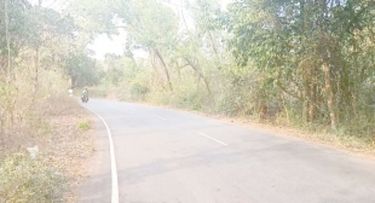 No streetlights on  Quepem-Balli road at Dhavatewada village