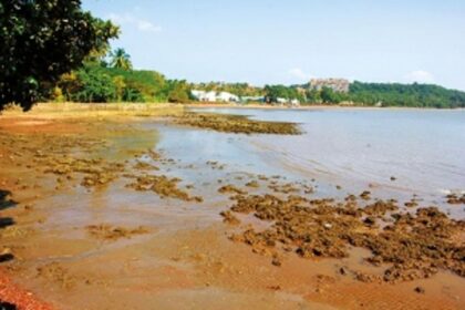 No structures to be  shown on CZMP maps