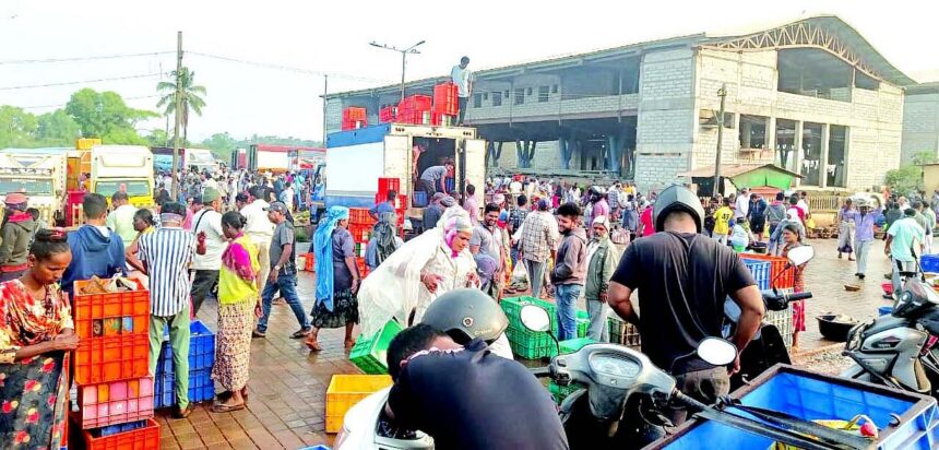 No takers: Tender for sopo collection at Margao’s wholesale fish market cancelled