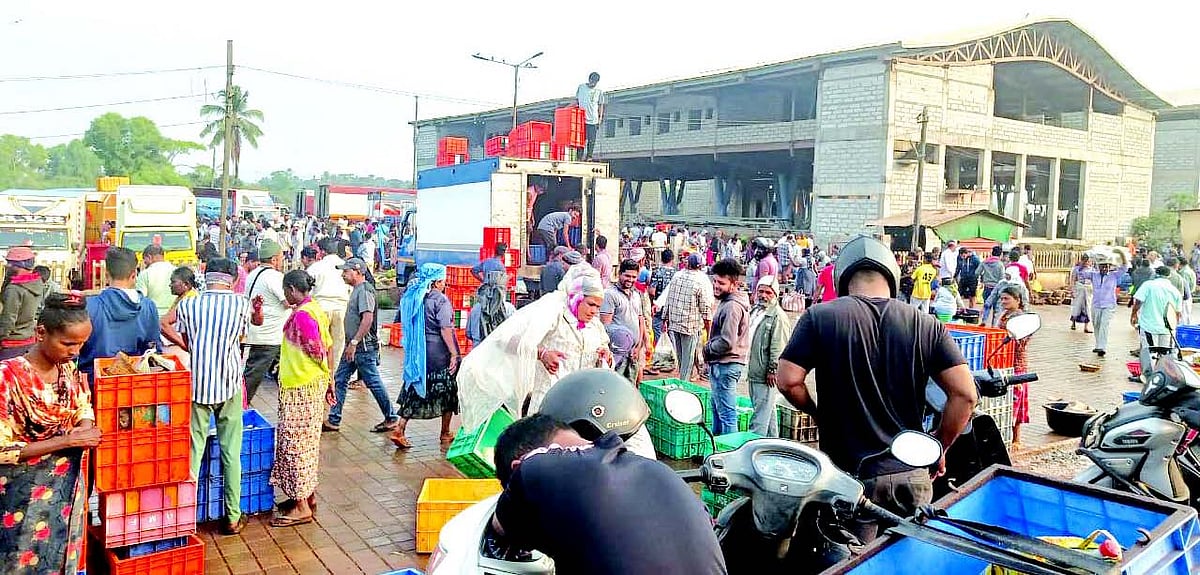 No takers: Tender for sopo collection at Margao’s wholesale fish market cancelled