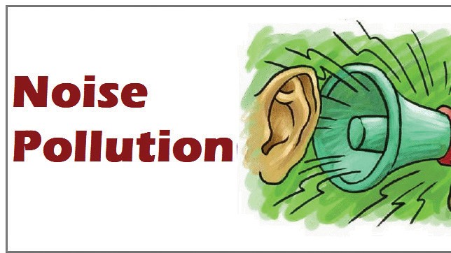 Noise Pollution in Mapusa: EDM Events and Late-Night Music Impact Residents' Well-Being