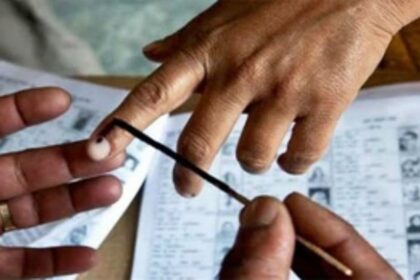 Not interested in delaying  Panchayat polls: Mauvin