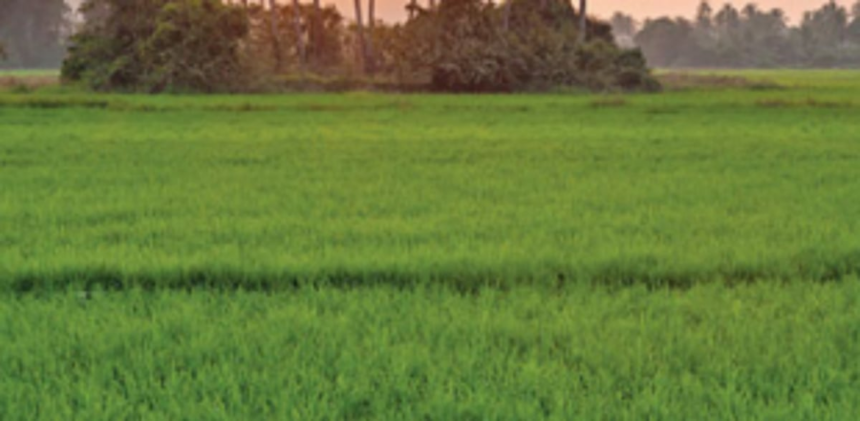 Nothing new on agri front: MLA 1 Nothing new on agri front: MLA