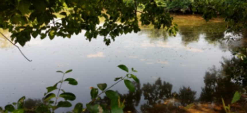 Notify before passing any plan around Wetlands: GSWA to State administrations 1 Notify before passing any plan around Wetlands: GSWA to State administrations