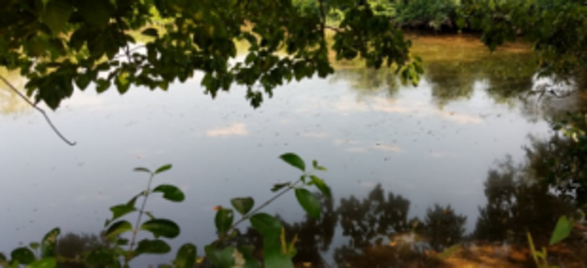 Notify before passing any plan around Wetlands: GSWA to  State administrations