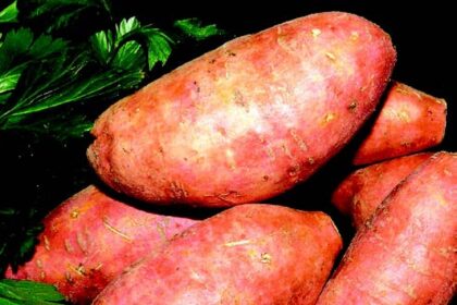 Nourishing choices:
Five low glycemic foods to boost your health