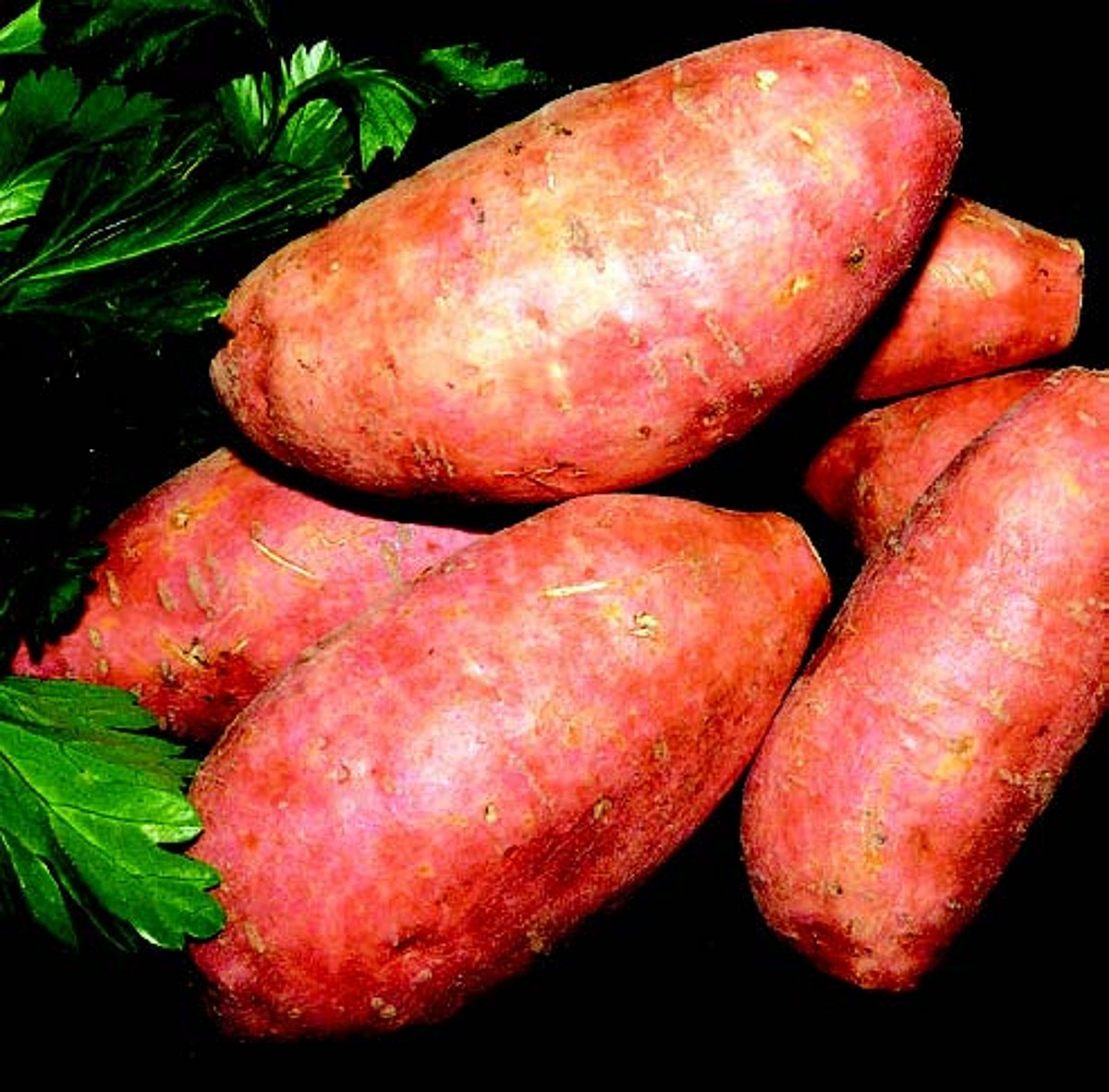 Nourishing choices:
Five low glycemic foods to boost your health