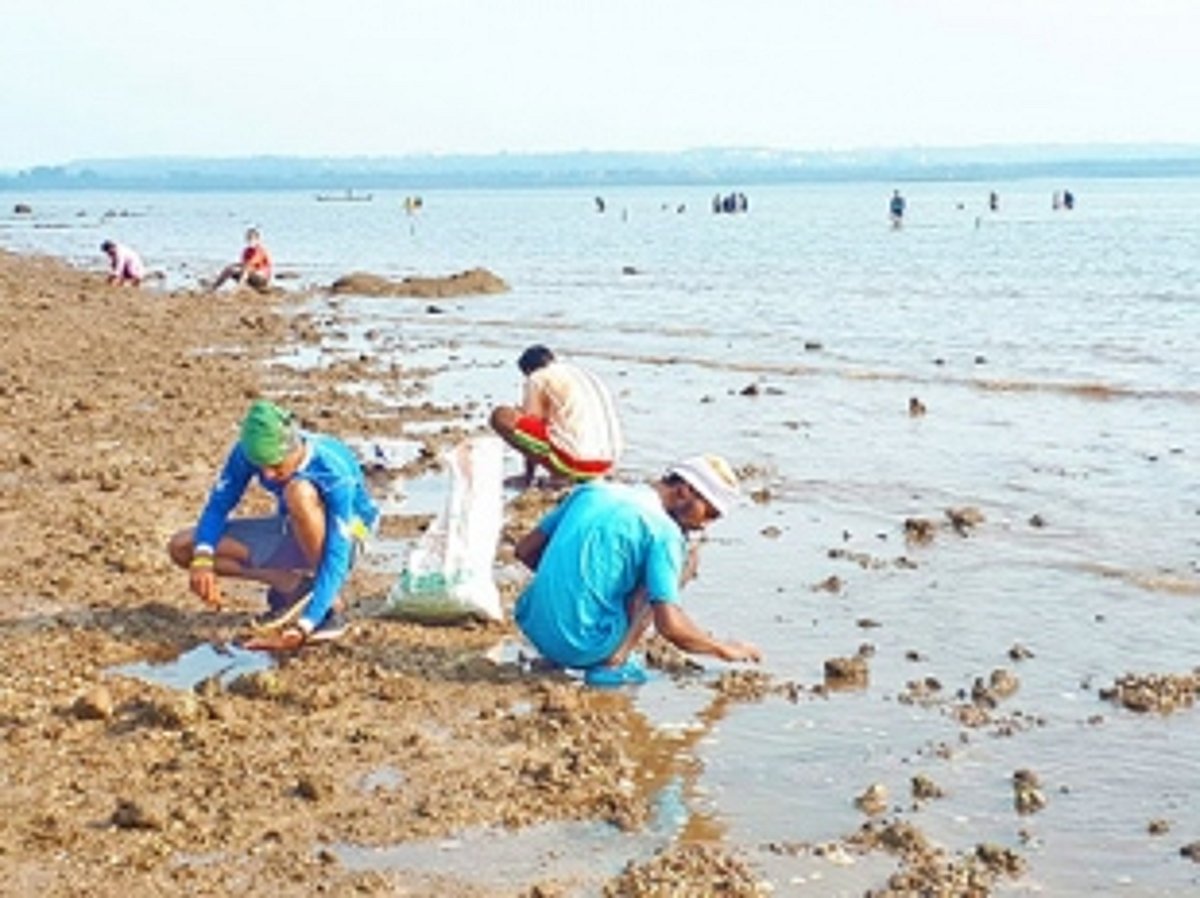 Now, Chicalim Parish Priest appeals against exploitation of clams, oysters