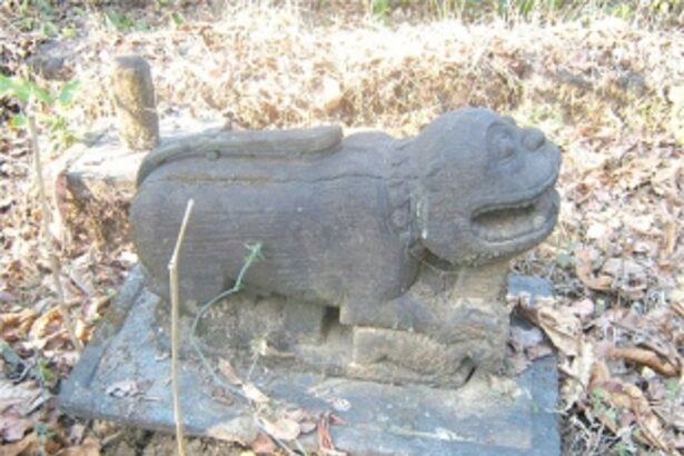 Now killed, tigers have been worshipped in Goa
