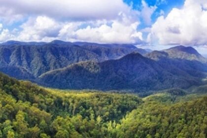 Now, no EC for laying of  cables, pipelines in forest