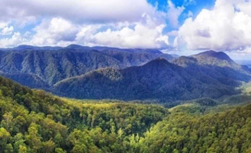 Now, no EC for laying of  cables, pipelines in forest