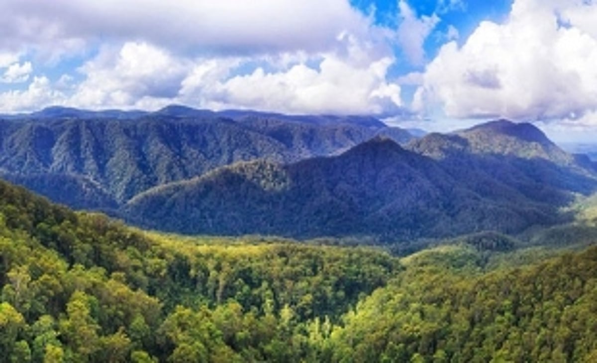 Now, no EC for laying of  cables, pipelines in forest