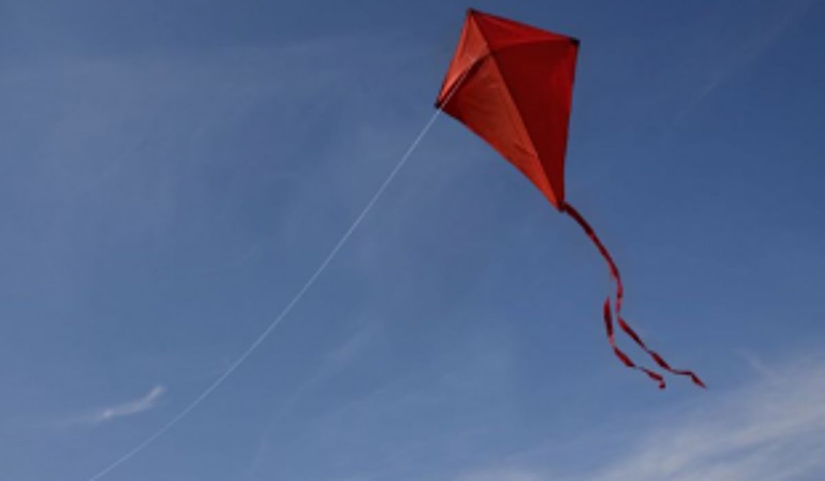 Now, ‘kite flying’ officially banned around Dabolim airport