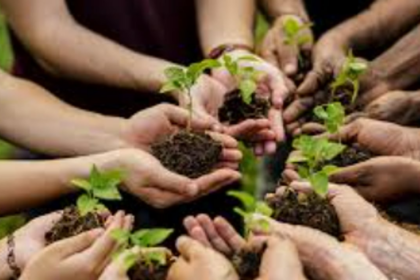 Nurture nature back to
health first
