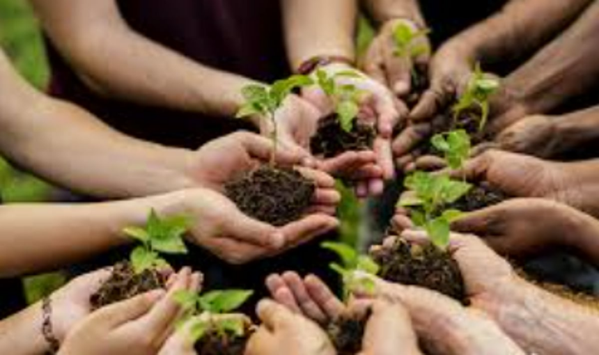 Nurture nature back to
health first