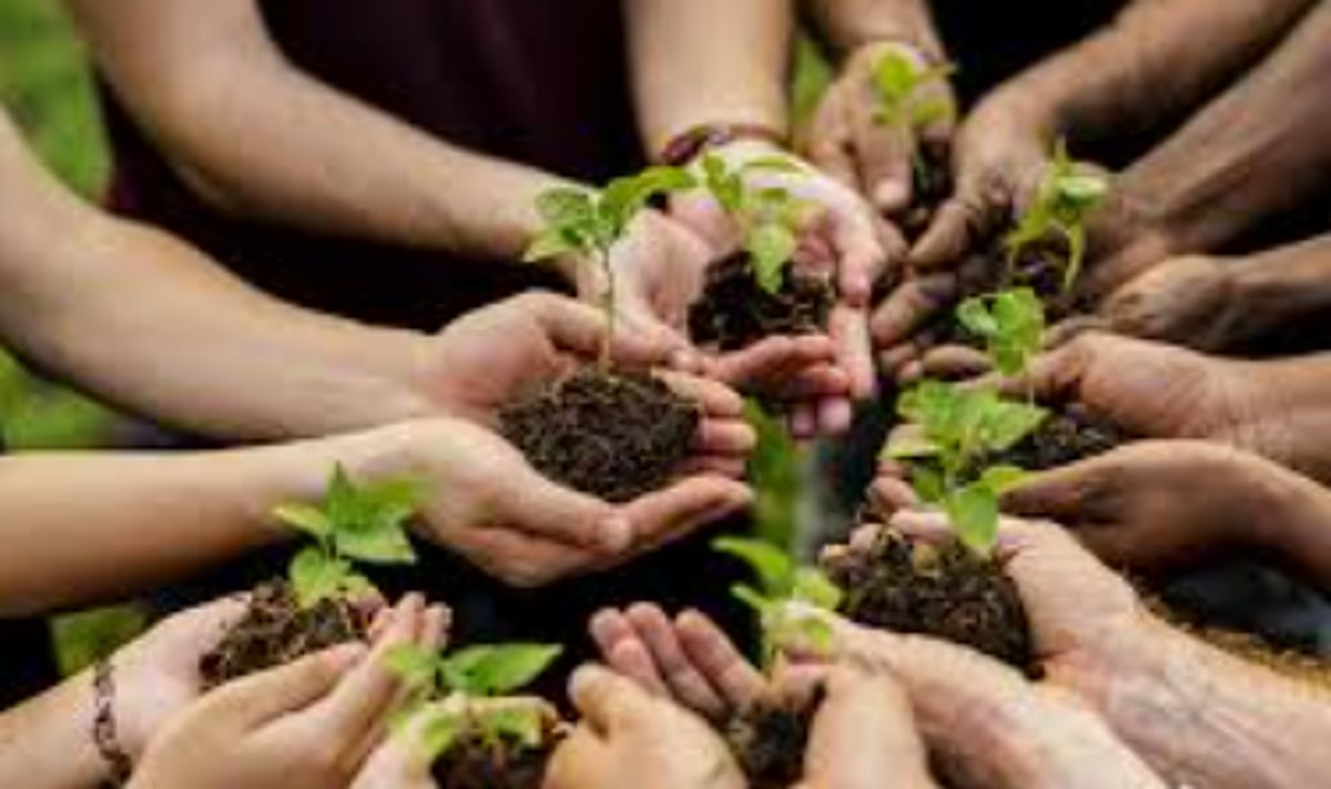 Nurture nature back to
health first