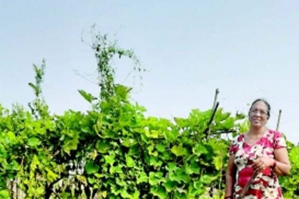 Nurturing her food from field to table, Ida Dias promotes sustainable farming for healthy living