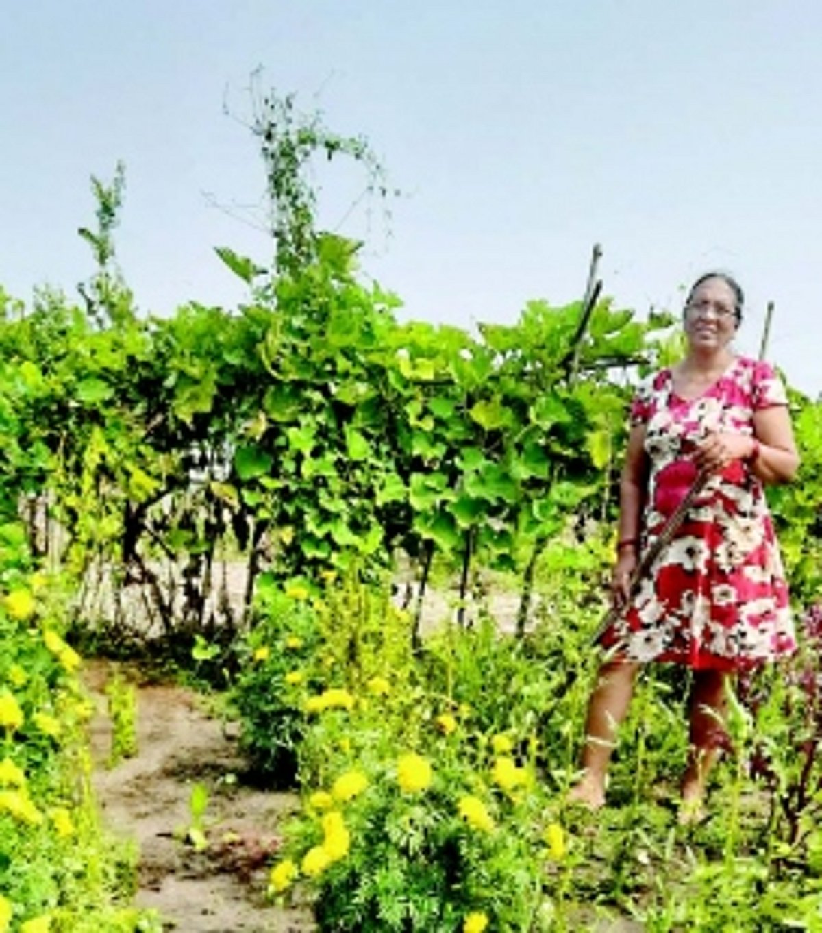 Nurturing her food from field to table, Ida Dias promotes sustainable farming for healthy living