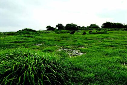 Nuvem villagers reject waste treatment plant on Verna plateau, moot decentralised village-level garbage management instead