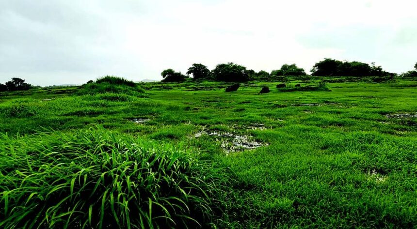 Nuvem villagers reject waste treatment plant on Verna plateau, moot decentralised village-level garbage management instead 1 Nuvem villagers reject waste treatment plant on Verna plateau, moot decentralised village-level garbage management instead