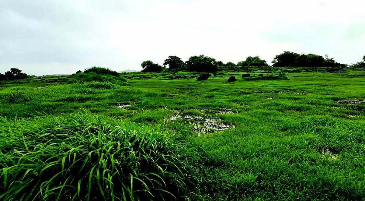 Nuvem villagers reject waste treatment plant on Verna plateau, moot decentralised village-level garbage management instead