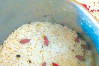 O Heraldo finds more maggot-filled foodgrains in shops, but civil supplies dept lives in denial