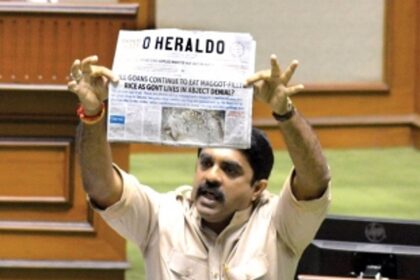 O Heraldo report on maggot-infested rice echoes in Assembly