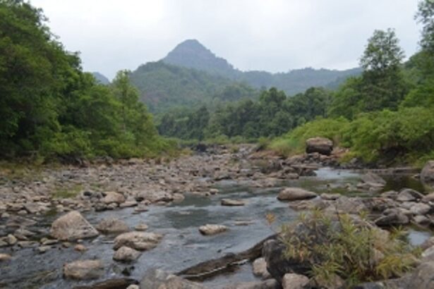 O Heraldo stands vindicated: Crucial mismanagement of Mhadei and tiger protection flagged by O Heraldo were highlighted by the High Court