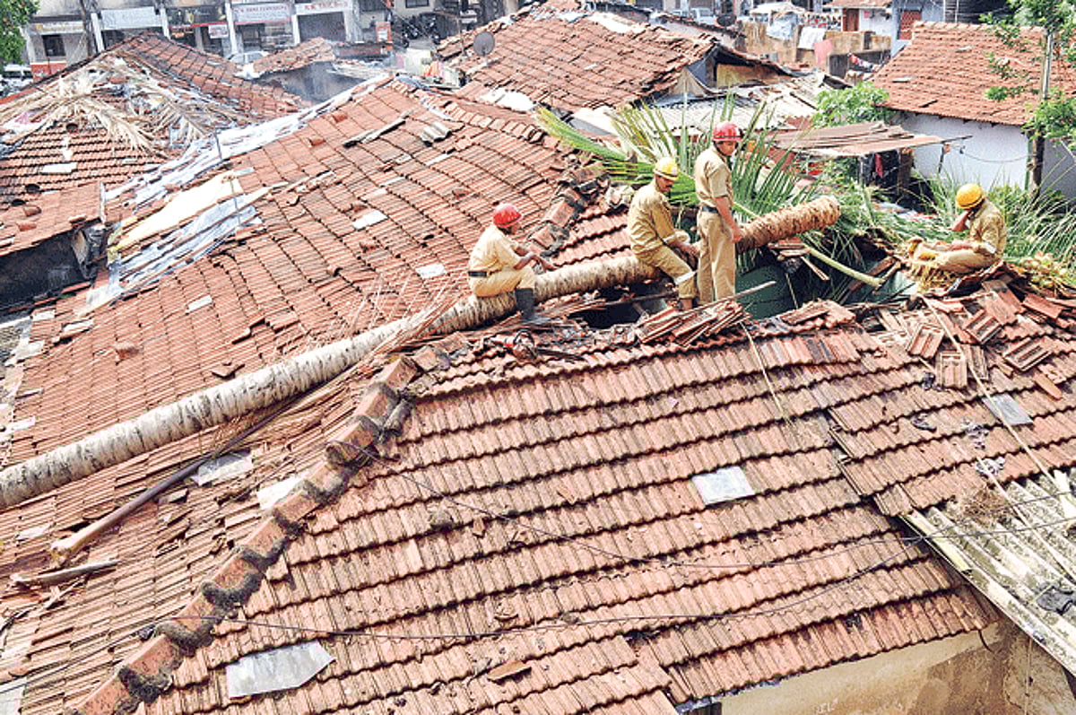 ON TOP OF THINGS:  Goa state fire service personnel cut a coconut tree which got uprooted damaging a residence at St Inez in Panjim. Strong winds accompanied by rains lashed the State early Tuesday morning.