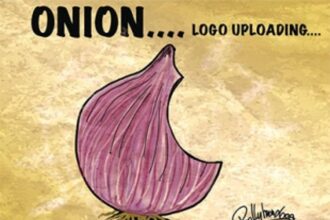 ONION PRICES ARE DRIVING CREATIVE FOLKS TEARY EYED WITH HUMOUR