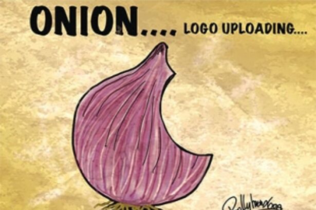 ONION PRICES ARE DRIVING CREATIVE FOLKS TEARY EYED WITH HUMOUR