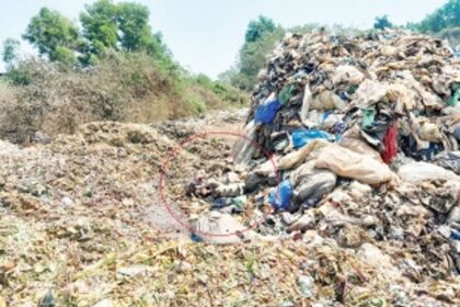 OPEN MORTUARY: Carcasses of pigs, dogs leave Sonsoddo stinking