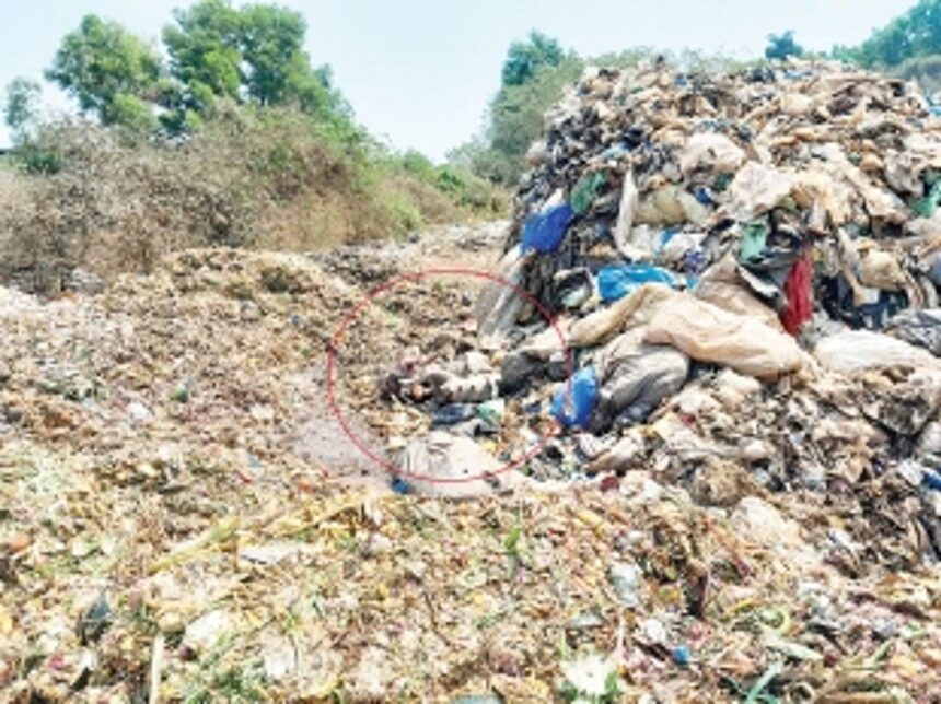 OPEN MORTUARY: Carcasses of pigs, dogs leave Sonsoddo stinking