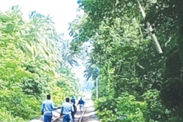 OUT! Velsao village ousts railway double tracking officials from the village