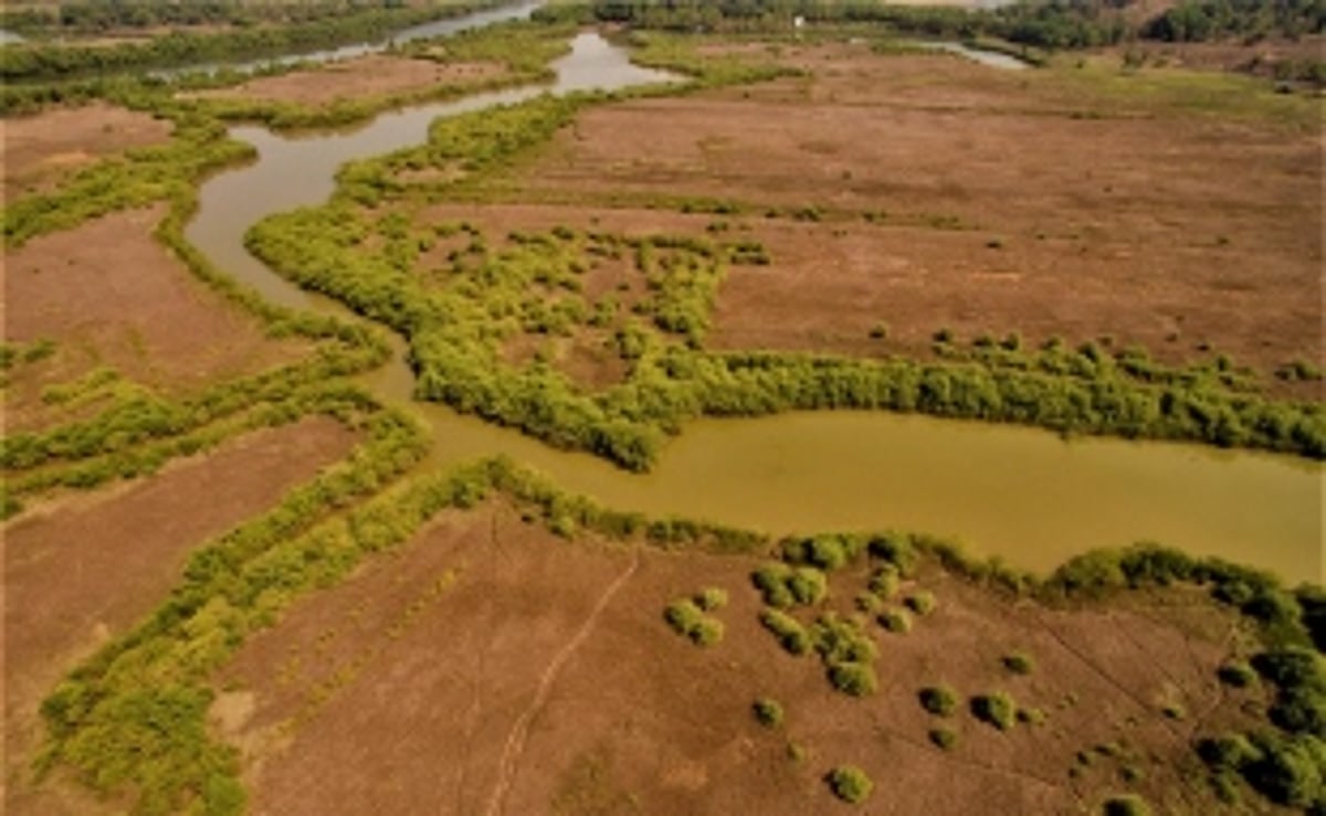 Objections filed against proposed amendment to Land Revenue Act