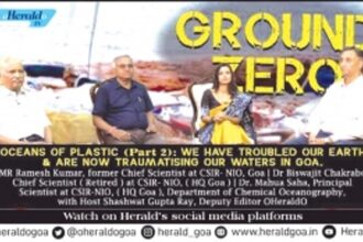 Oceans are spewing plastics on Goa coast; noise forcing fish to move away
