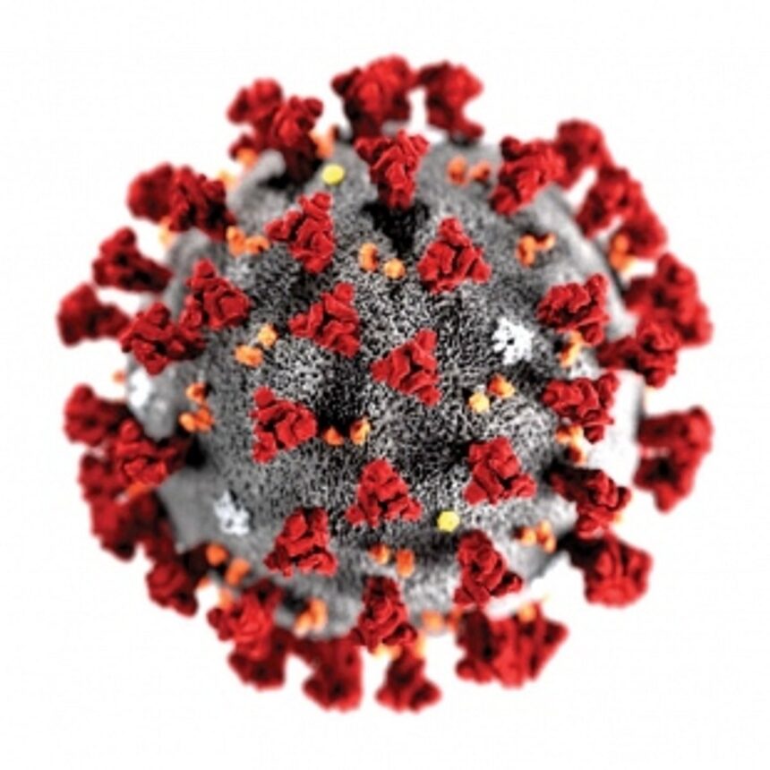 Of 12 COVID deaths, 10 eligible persons had not taken vaccine