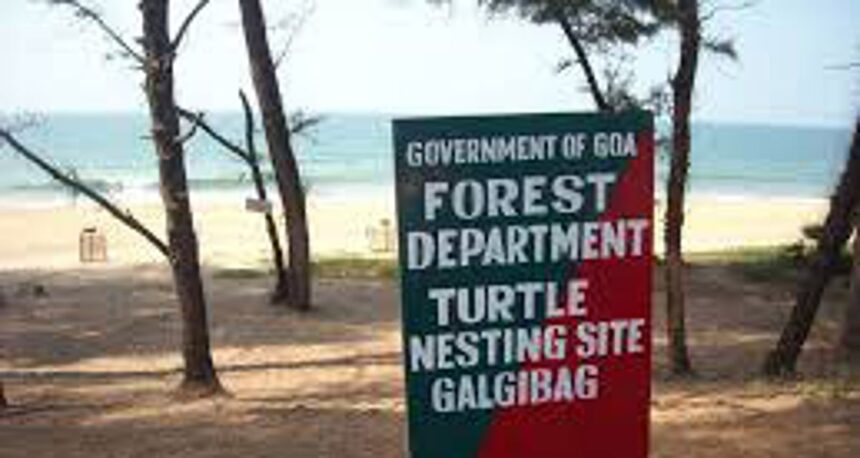 Of 93 environmental violations, GCZMA recovered compensation in only 5 cases 1 Of 93 environmental violations, GCZMA recovered compensation in only 5 cases