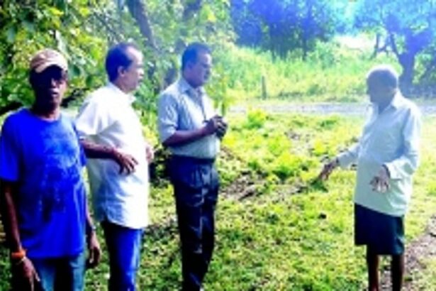 Of foraged treasures and sacred healing: Pandurang Naik Gaonkar is Canacona’s last remaining ‘vakhdali’