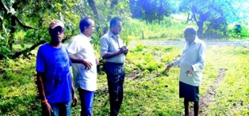 Of foraged treasures and sacred healing: Pandurang Naik Gaonkar is Canacona’s last remaining ‘vakhdali’