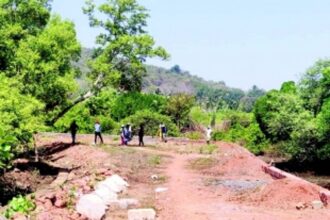 Officials inspect Candolim bundh amid allegations of environmental violations