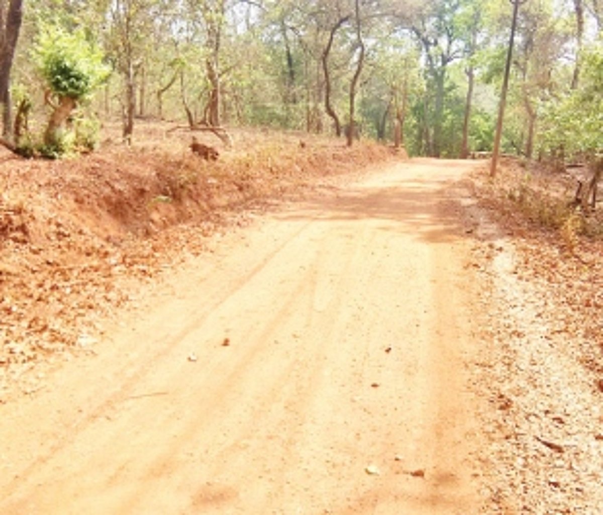 Officials, politicians make beeline to Marle-Tirval, Canacona