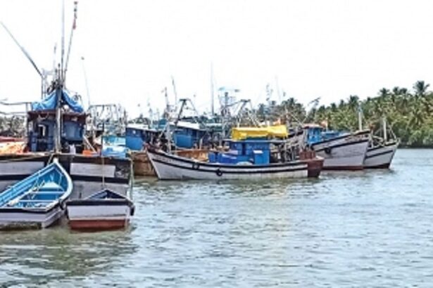 Oh fish: Goa’s coasts will be patrolled by hired trawlers