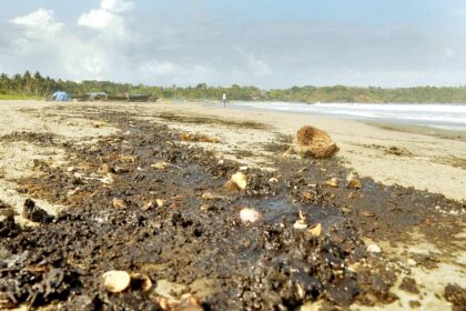 Oil residue gathered on the shores of Caranzalem-Miramar beach.