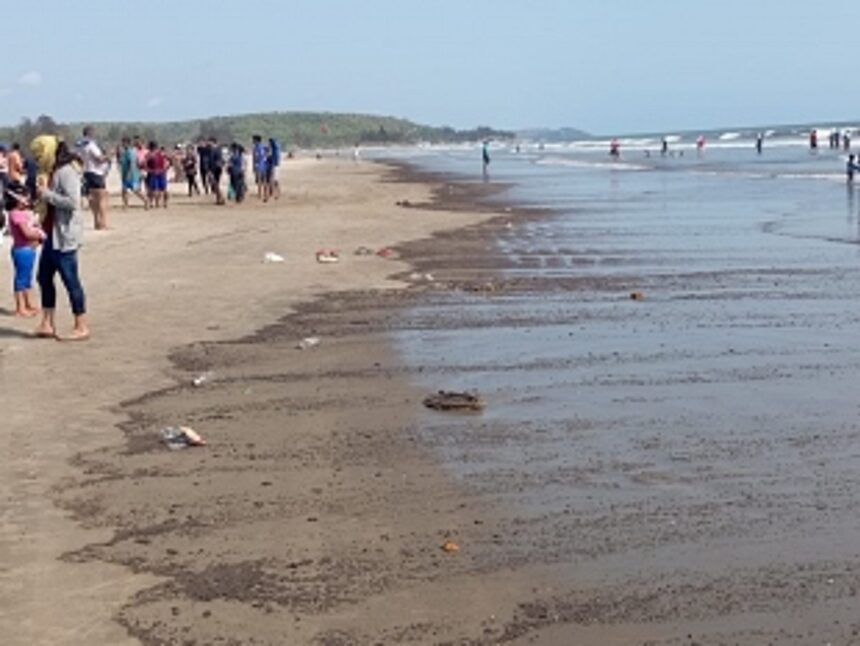 Oil washes ashore Mandrem beach