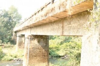 Old Hasapur bridge unable to cope  up with increasing traffic: Sarpanch