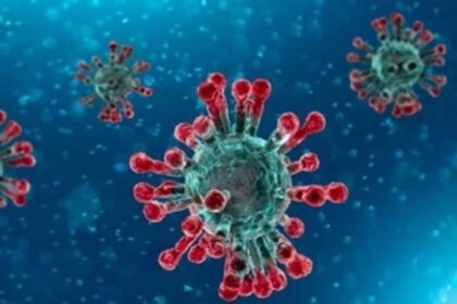 Omicron casts shadow over  international tourist arrivals