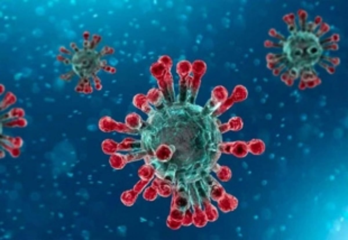 Omicron casts shadow over  international tourist arrivals